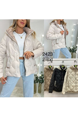 Kurtki damskie przejściowe (2XL-6XL) 2423