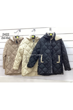 Kurtki damskie przejściowe (2XL-6XL) 2422