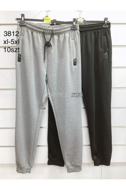 Spodnie dresowe męskie (XL-5XL) 3812