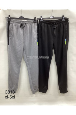 Spodnie dresowe męskie (XL-5XL) 3813