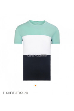 Koszulka męska (M-2XL) 8T90-78