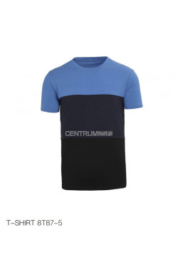 Koszulka męska (M-2XL) 8T87-5