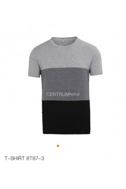 Koszulka męska (M-2XL) 8T87-3