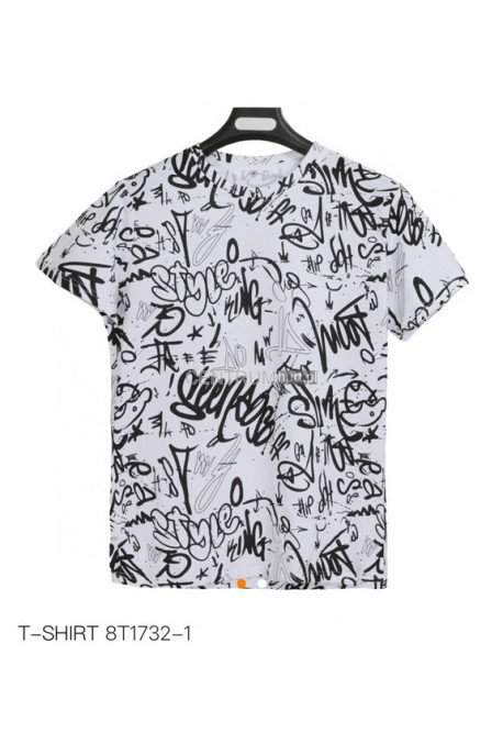 Koszulka męska (M-2XL) 1