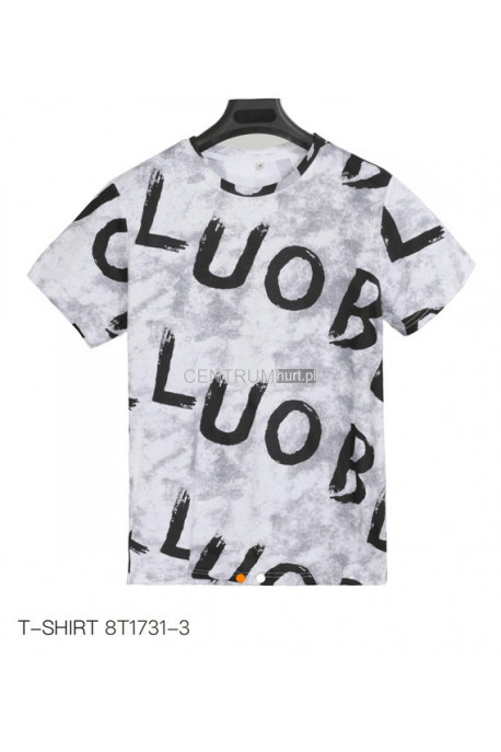 Koszulka męska (M-2XL) 1