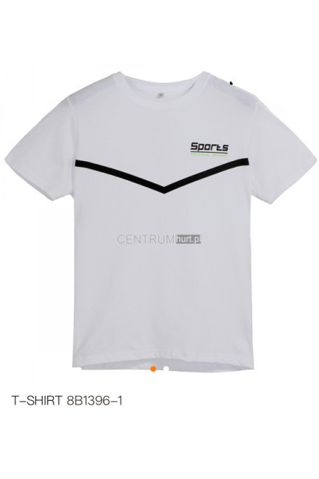 Koszulka męska (M-2XL) 1