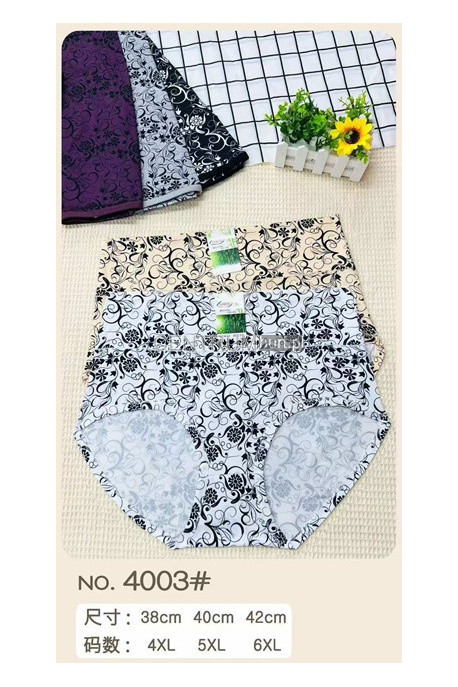 Majtki damskie (2XL-4XL) 1