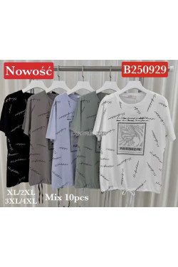 Bluzki damskie (XL-4XL) B250929