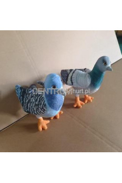 Maskotk gołąb b1430