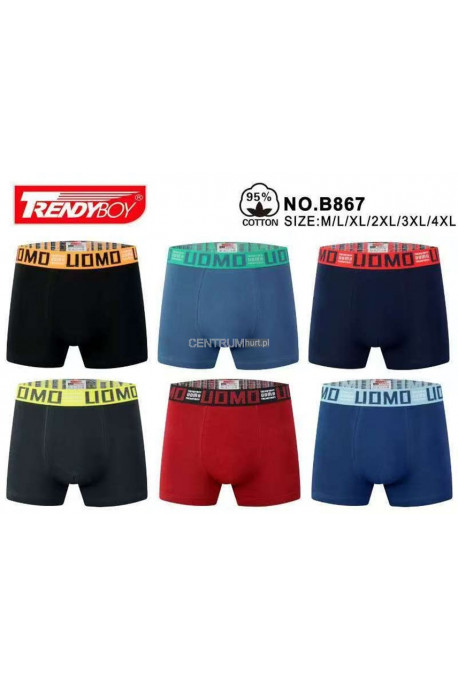 Bokserki męskie (M-3XL) 1