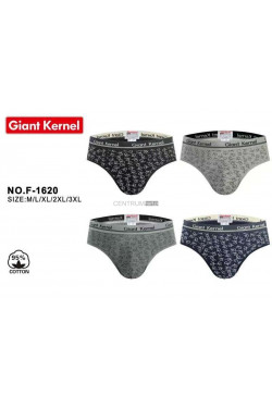 Slipy męskie (M-3XL) F-1620