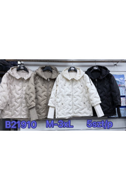 Kurtki damskie przejściowe (M-3XL) B21910