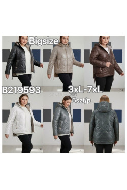 Kurtki damskie przejściowe (3XL-7XL) B219593