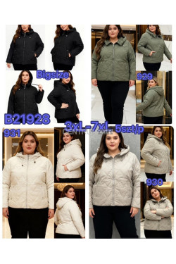 Kurtki damskie przejściowe (3XL-7XL) B21928