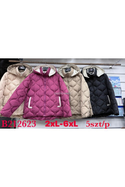 Kurtki damskie przejściowe (2XL-6XL) B212623