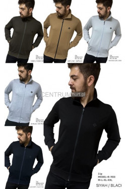 Bluza męska Turecka (M-2XL) 9341