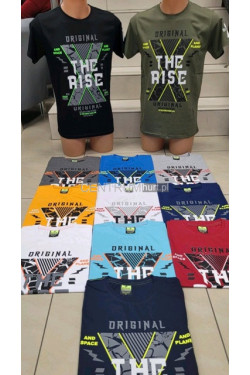 Koszulka męska Turecka (M-2XL) 93