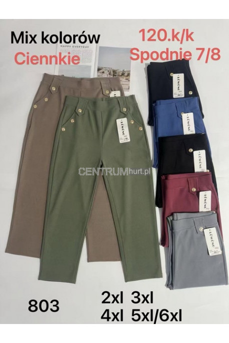 Spodnie damskie (2XL-6XL) 13