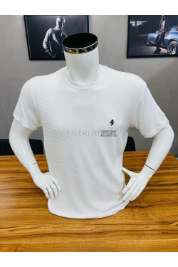 Koszulka męska (M-2XL) 9628