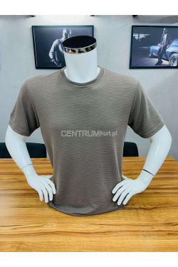 Koszulka męska (M-2XL) 9631