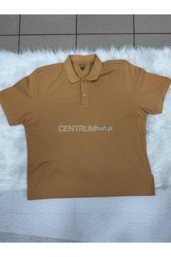 Koszulka męska (2XL-5XL) 9651