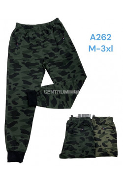 Spodnie dresowe męskie (M-3XL) A262