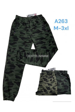 Spodnie dresowe męskie (M-3XL) A263