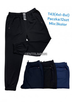 Spodnie dresowe męskie (4XL-8XL) T43
