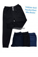 Spodnie dresowe męskie (M-4XL) 1