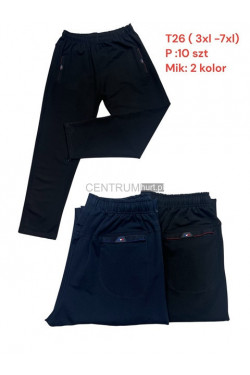 Spodnie dresowe męskie (3XL-7XL) T26