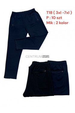Spodnie dresowe męskie (3XL-7XL) T18