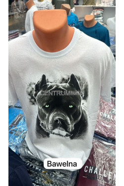 Koszulka męska (M-2XL) 1280