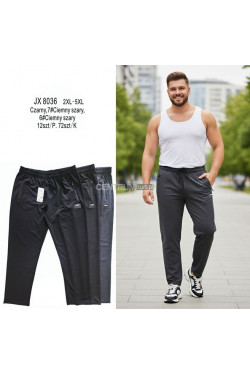 Spodnie dresowe męskie (2XL-5XL) JX8037