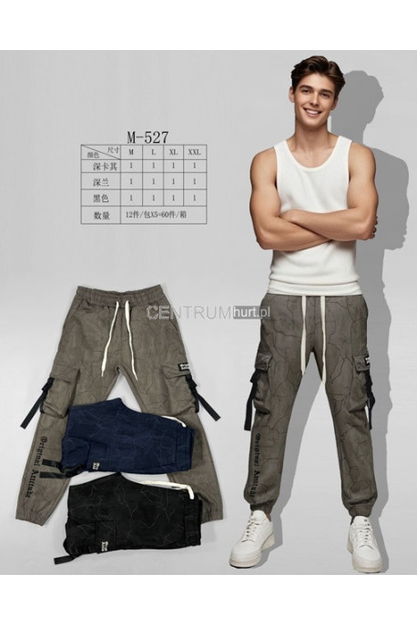 Spodnie dresowe męskie (2XL-5XL) 12