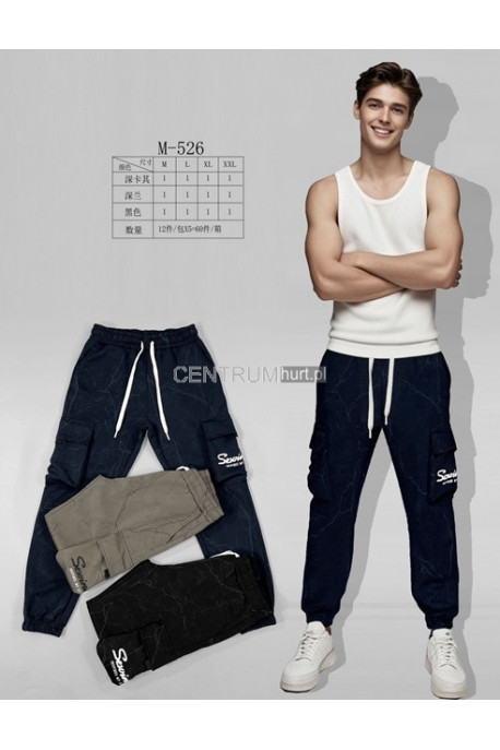 Spodnie dresowe męskie (2XL-5XL) 12