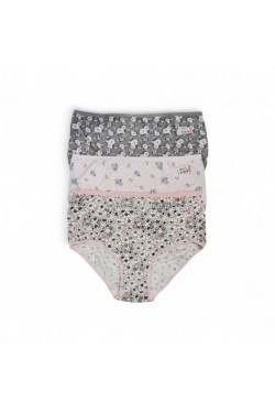 Majtki damskie (3XL-4XL) 1341