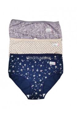 Majtki damskie (3XL-4XL) 1345