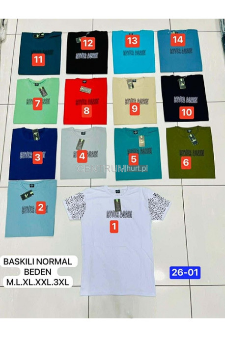 Koszulka męska (M-3XL) 13