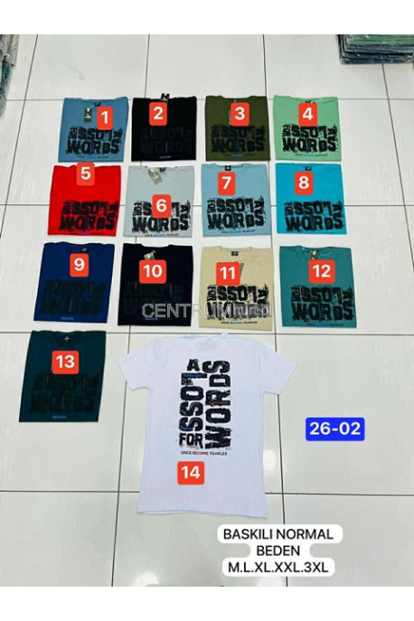 Koszulka męska (M-3XL) 13