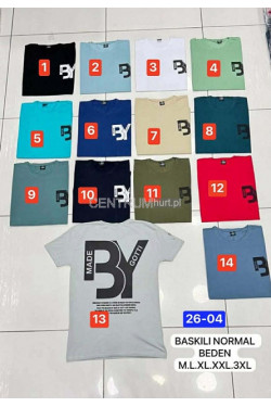 Koszulka męska (M-3XL) 1363
