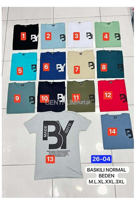 Koszulka męska (M-3XL) 13