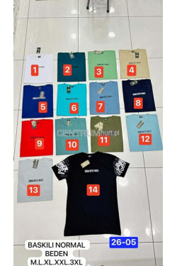 Koszulka męska (M-3XL) 1364