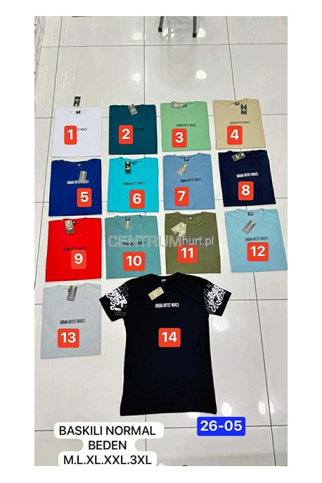 Koszulka męska (M-3XL) 13