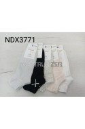 Stopki damskie AURA.VIA (35-41) NDX3778