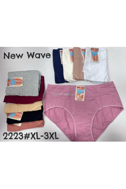 Majtki damskie (XL-3XL) 2223