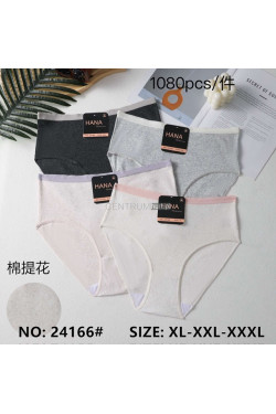 Majtki damskie (XL-3XL) 24166