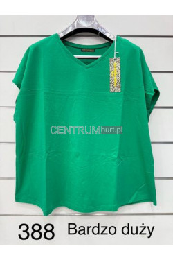 Podkoszulka BARDZO DUŻA LES PARIS 388