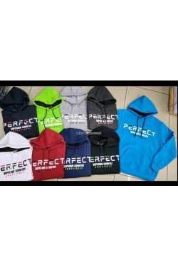 Bluza męska Turecka (M-2XL) 1761