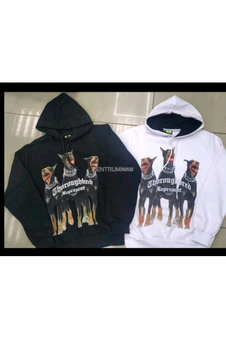 Bluza męska Turecka (M-2XL) 17