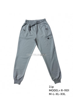 Spodnie dresowe męskie Tureckie (M-2XL) 1772